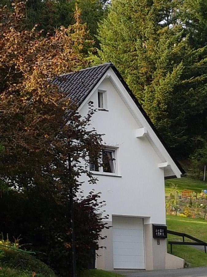 Ferienhaus Am Ruhberg Villa Winterberg Exterior photo