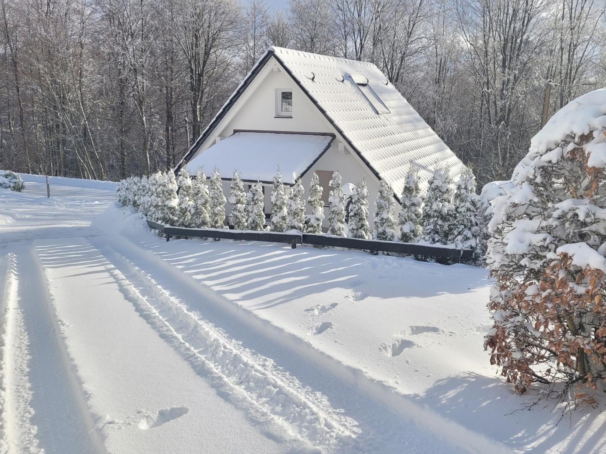 Ferienhaus Am Ruhberg Villa Winterberg Exterior photo